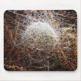 Web of Filmy Dome Spider Mouse Mat