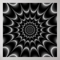 Web Star in Black and White