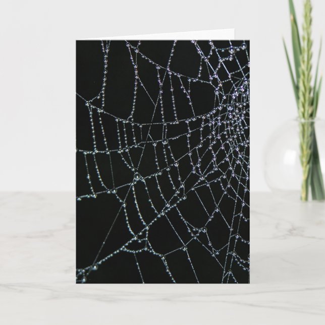 Web Wonder Card (Front)