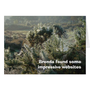 Websites card