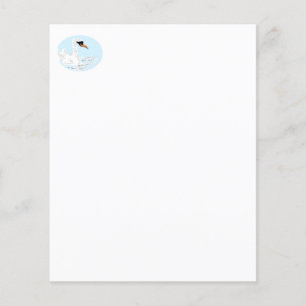 Weddind & other type of Programs : Swan