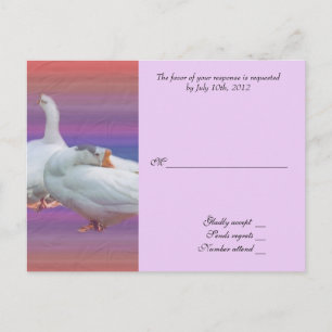 wedding acceptance card, two white geese invitation postcard