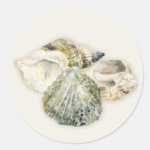 Wedding beach sea shells stickers