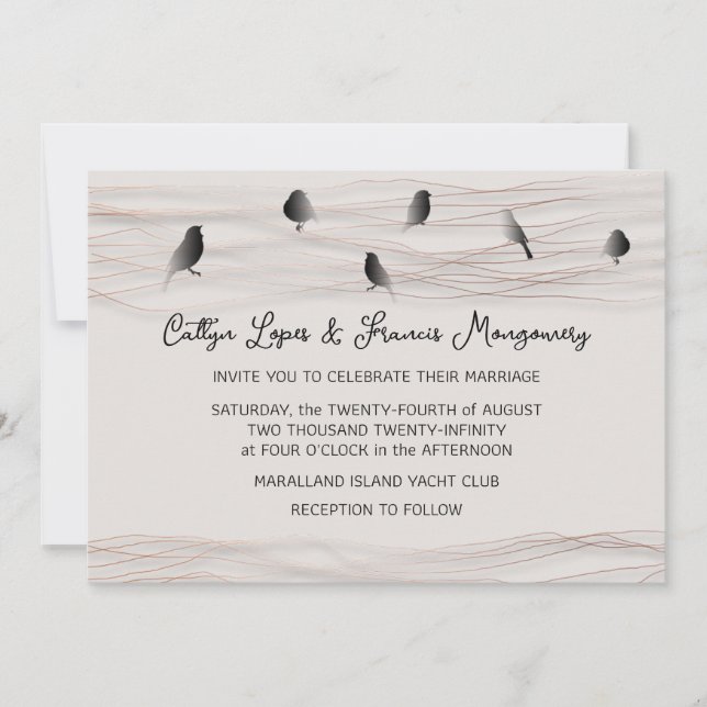 Wedding Black Rose Powder Delicate Foto Cottage Invitation (Front)