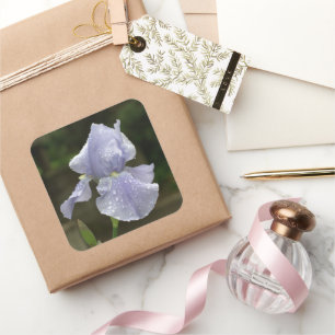 Wedding Blue Iris Flower Raindrops Square Sticker