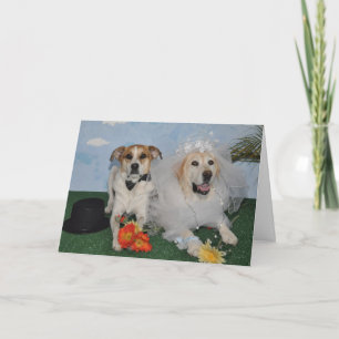 Wedding card, photo of 2 dogs on wedding day card