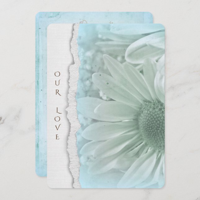wedding daisy in soft aqua with torn paper edge invitation (Front/Back)