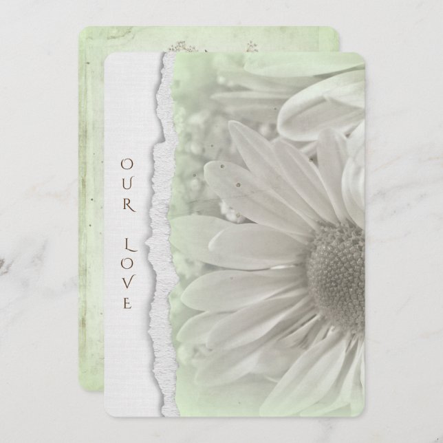 wedding daisy in soft  green with torn paper edge invitation (Front/Back)