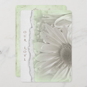 wedding daisy in soft  green with torn paper edge invitation
