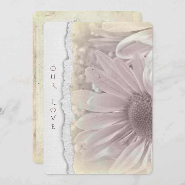 wedding daisy in soft  yellow with torn paper edge invitation (Front/Back)