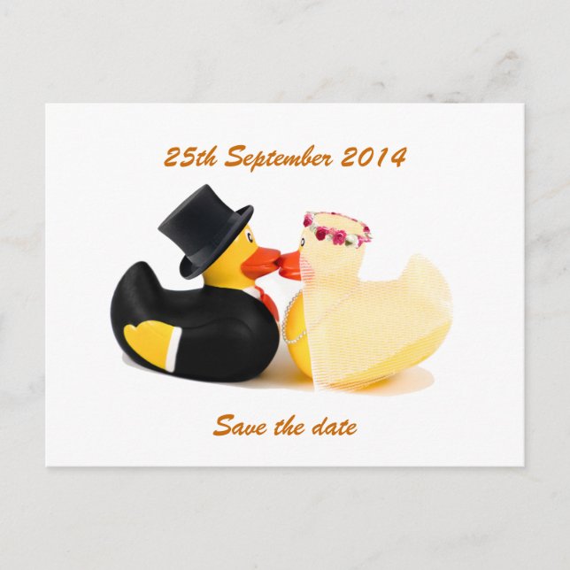 Wedding ducks 4 ... Postcard (Front)