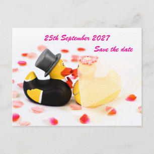 Wedding ducks rose petal confetti ... Postcard