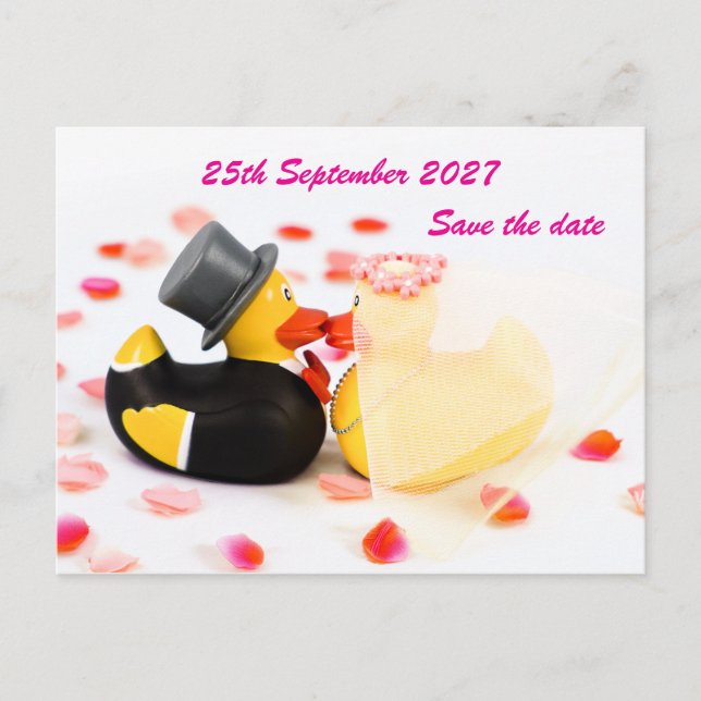 Wedding ducks rose petal confetti ... Postcard (Front)