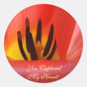 Wedding envelope seals Red silky Tulip Flower