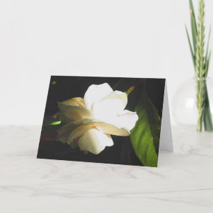 Wedding Fragrant Ivory Gardenia Blossom Card