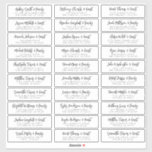 Wedding Guest Names Address Simple Modern Chic<br><div class="desc">Composed of simple sans serif and modern serif typography. These elements are simple,  elegant,  and modern. This has 30 stickers. 
 
 This is designed by White Paper Birch Co. exclusive for Zazzle.
 
 Available here:
 http://www.zazzle.com/store/whitepaperbirch</div>