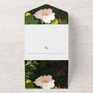 Wedding Invitation All In One