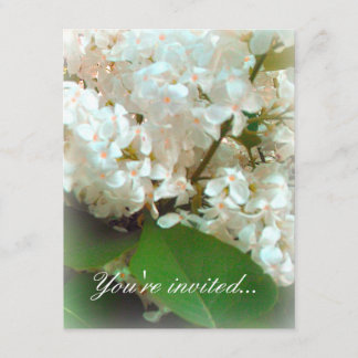 Wedding Invitation - White Lilacs