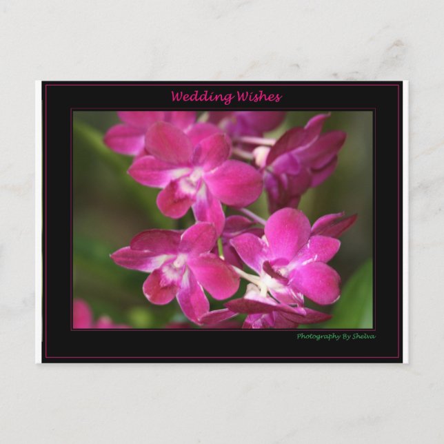 Wedding One Postcard (Front)