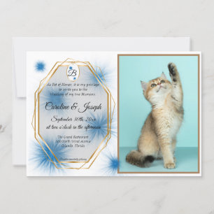 Wedding, Pet Photo & Tag with Blue Tuft of Fur Inv Invitation