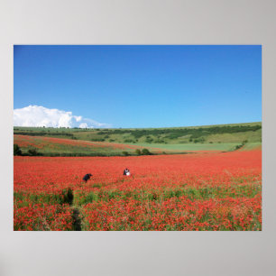 Wedding photo in a field of Red Poppies Poster
