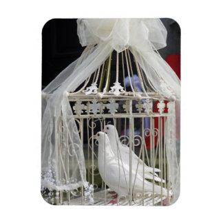 Wedding pigeon waiting for bride magnet