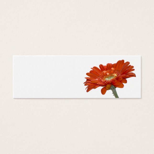 Wedding Place Name Card - Orange Daisy Gerbera (Front)