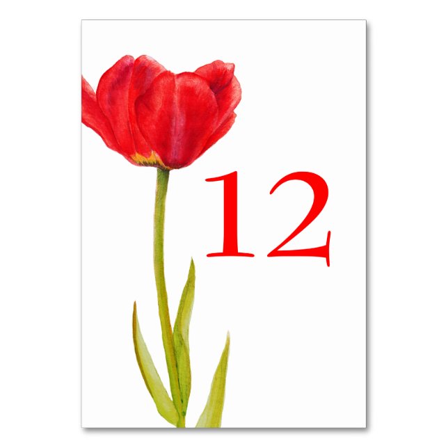 Wedding red tulip flower white table numbers (Back)