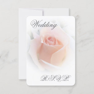 Wedding RSVP Card Peach Pink Rosebud