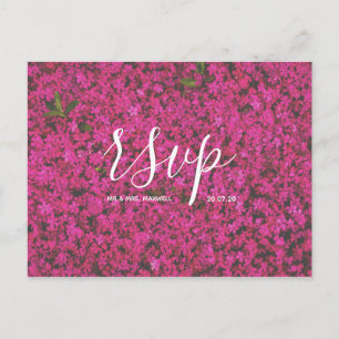 Wedding Rsvp card Pink Flowers Script Postcard