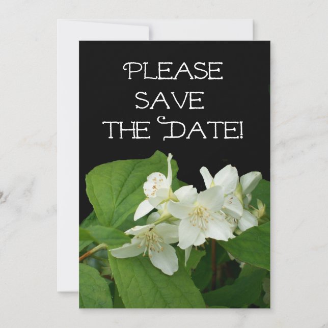 Wedding 'Save the Date' Card (Front)