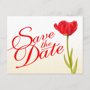 Wedding Save the Date Postcard red tulip art