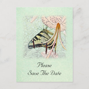 Wedding Save The Date Swallowtail Butterfly & Lily Announcement Postcard