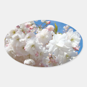 Wedding seals Beautiful White Pink Blossoms Spring