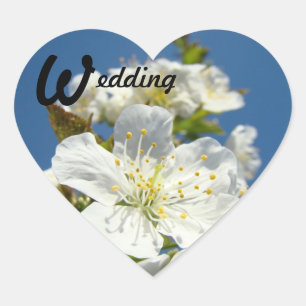 Wedding stickers envelope seals Cherry Blossoms