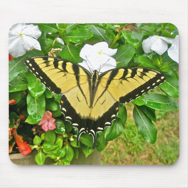 Wedding Swallowtail Butterfly Items Mouse Pad (Front)