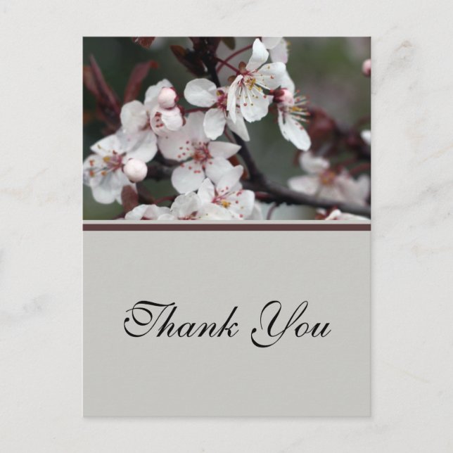 wedding thank you stickers, card, etc postcard (Front)