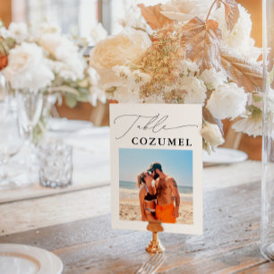 Wedding Travel Adventure Photo Table Number