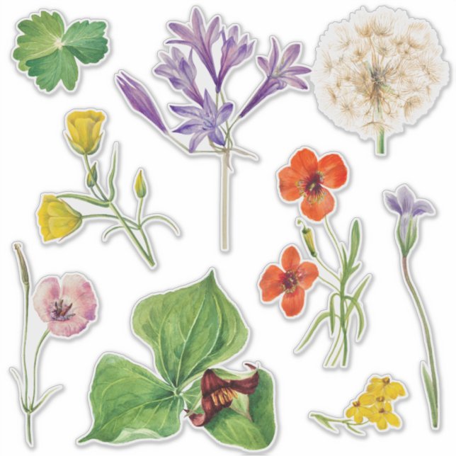 Wedding Welcome Sign Colourful Wildflower  (Front)