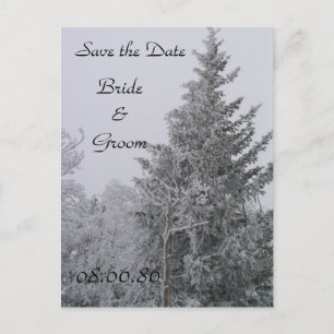 Wedding Winter Pine Tree Postcard