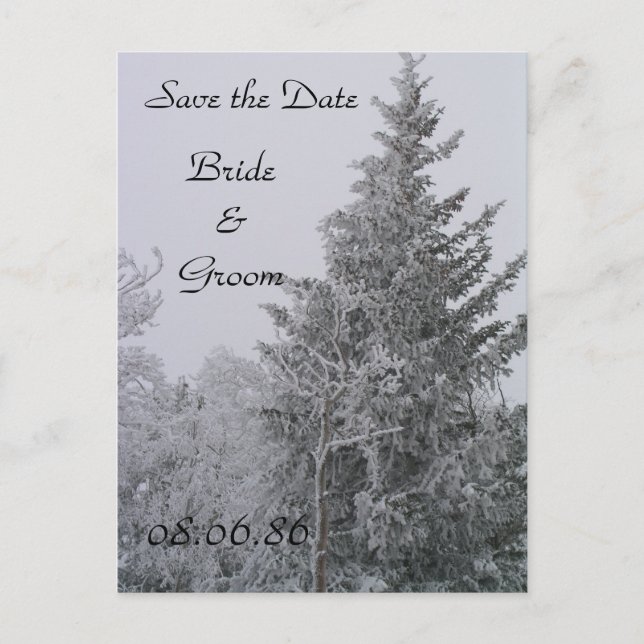 Wedding Winter Pine Tree Postcard (Front)