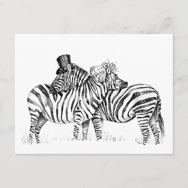 Wedding zebras postcard (Front)