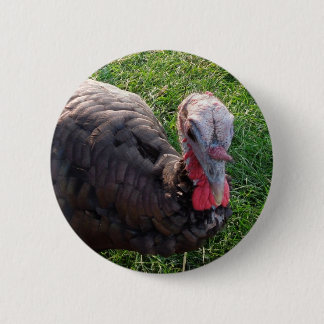 Wedrose Acres button 1