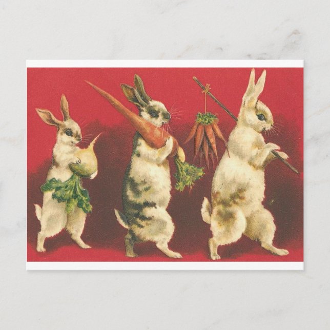 Wee Three Rabbits Postcard (Front)