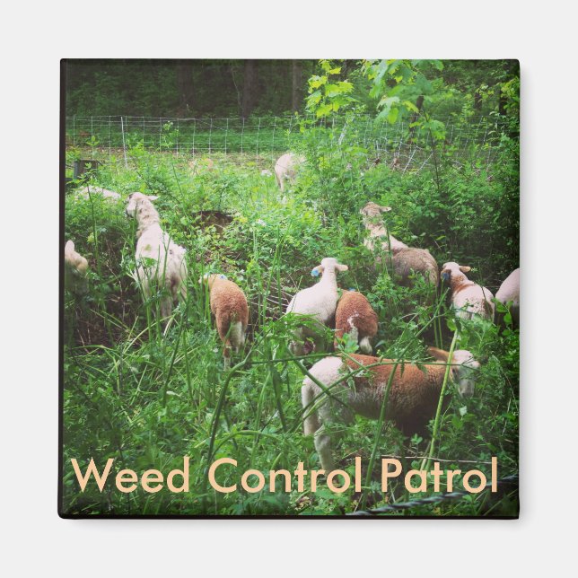 Weed Control Patrol Magnet (Front)