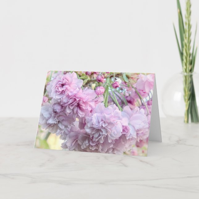 Weeping cherry blossom card (Front)
