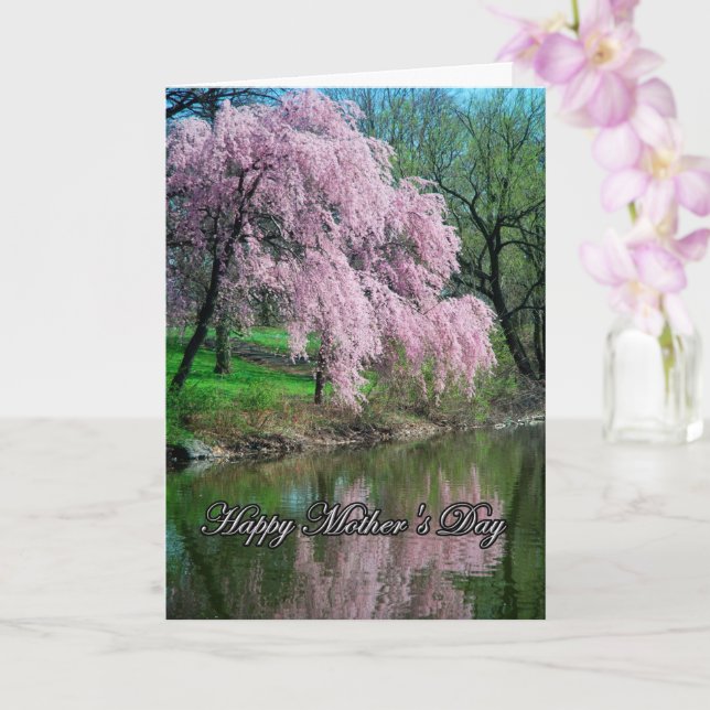 Weeping Cherry Tree Mother's Day Card (Orchid)