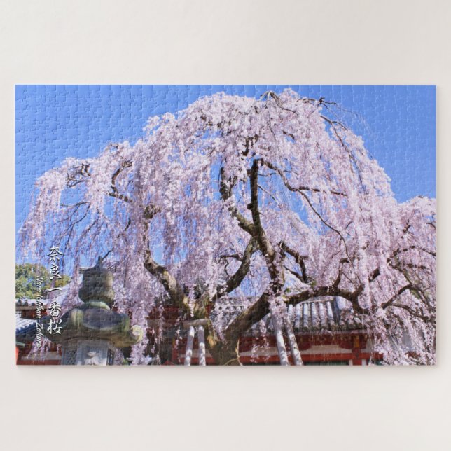 Weeping cherry tree ("Nara Ichiban-Zakura") Jigsaw Puzzle (Horizontal)