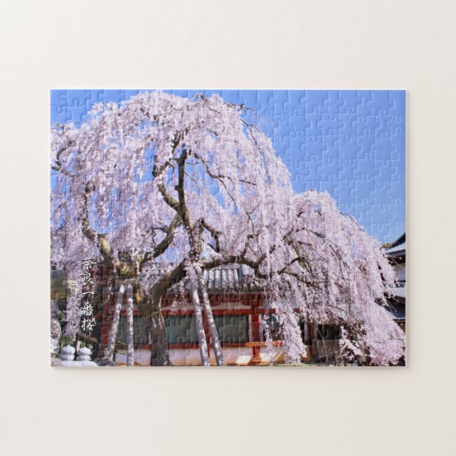 Weeping cherry tree ("Nara Ichiban-Zakura") Jigsaw Puzzle (Horizontal)