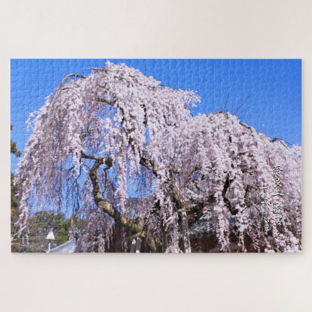 Weeping cherry tree ("Nara Ichiban-Zakura") Jigsaw Puzzle (Horizontal)